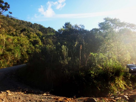 Estrada da Serra do Corvo Branco