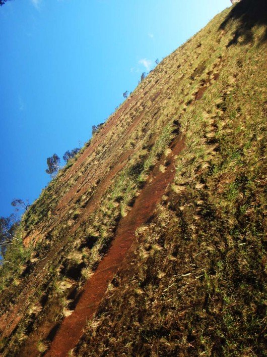 Paredão - Serra do Corvo Branco - Urubici - SC