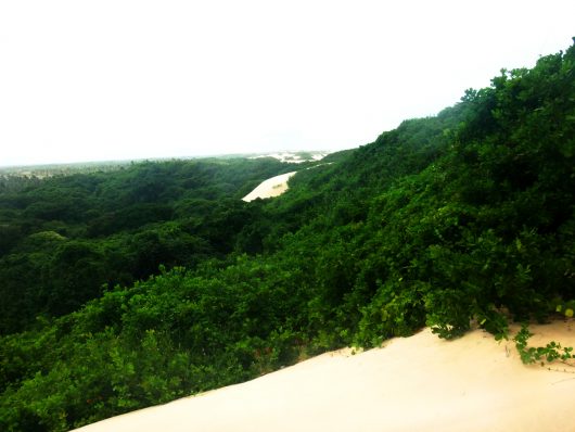 Dunas Praia do Saco - Estância - SE