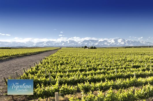 Mendoza - Argentina