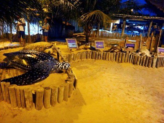 Projeto Tamar - Oceanário Aracaju - SE