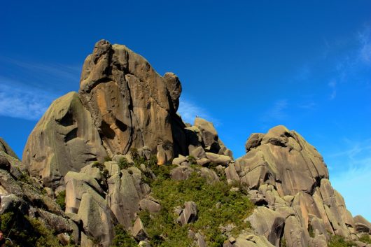 Maciço das Prateleiras - Itatiaia - RJ