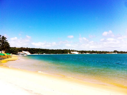 Praia do Gunga - Maceió - AL