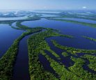 Parque Nacional de Anavilhanas - Manaus - AM