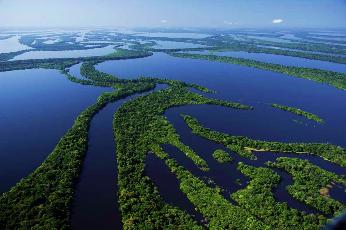 Parque Nacional de Anavilhanas em Manaus é uma das atrações do Norte do Brasil