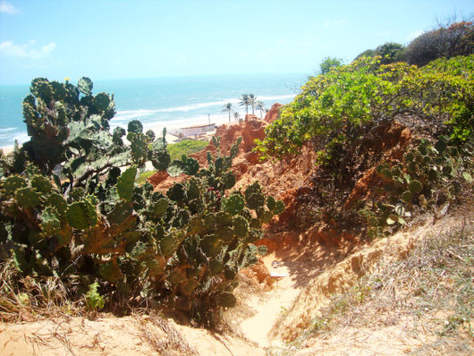 Paisagem em Morro Branco