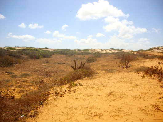 Seca no Nordeste Praia de Lagoinha