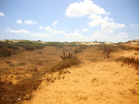 Seca no Nordeste Praia de Lagoinha