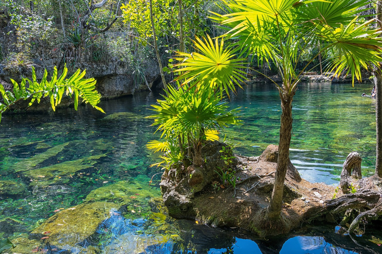 Cenote mexicano