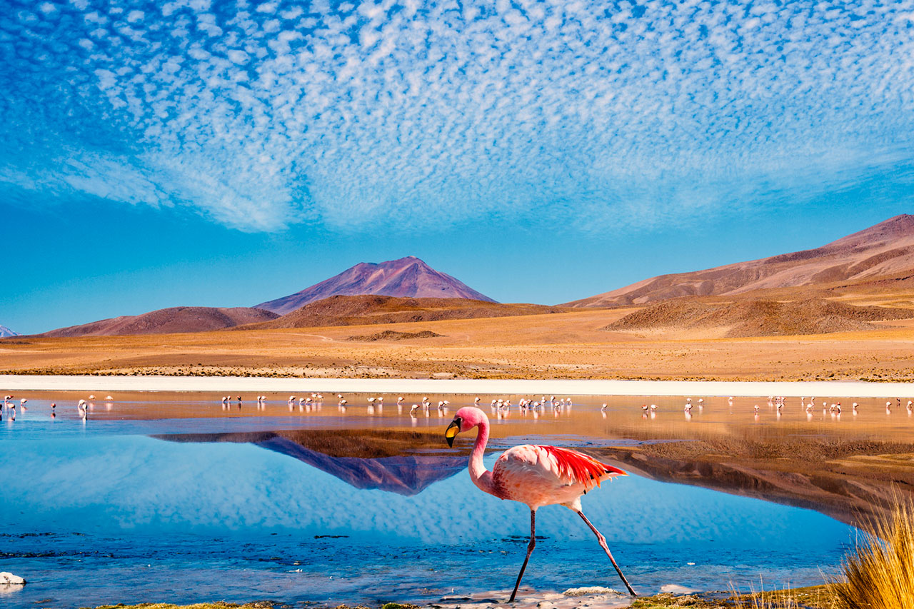 Exuberante paisagem do Deserto do Atacama no Chile