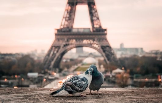 Torre Eiffel em Paris - 10 lugares românticos no mundo para viajar