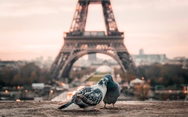 Torre Eiffel em Paris - 10 lugares românticos no mundo para viajar