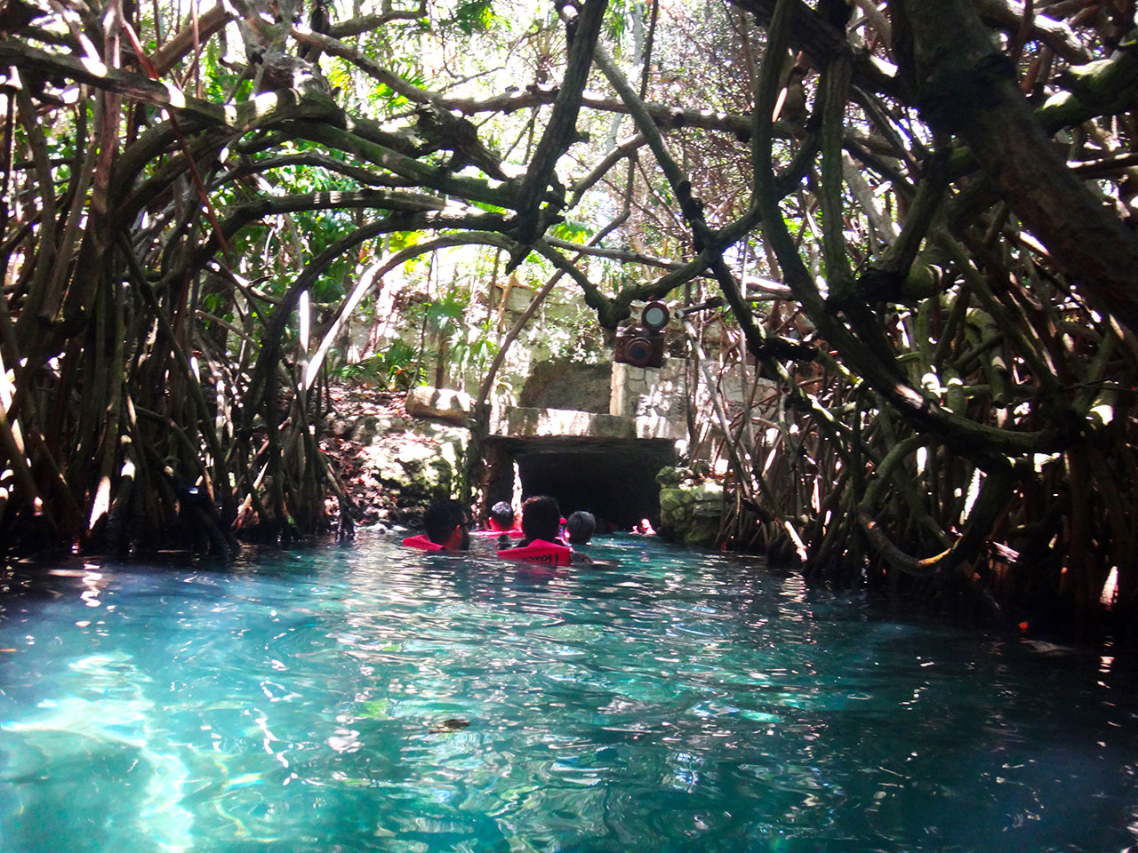 Mangues no rio subterrâneo Xcaret