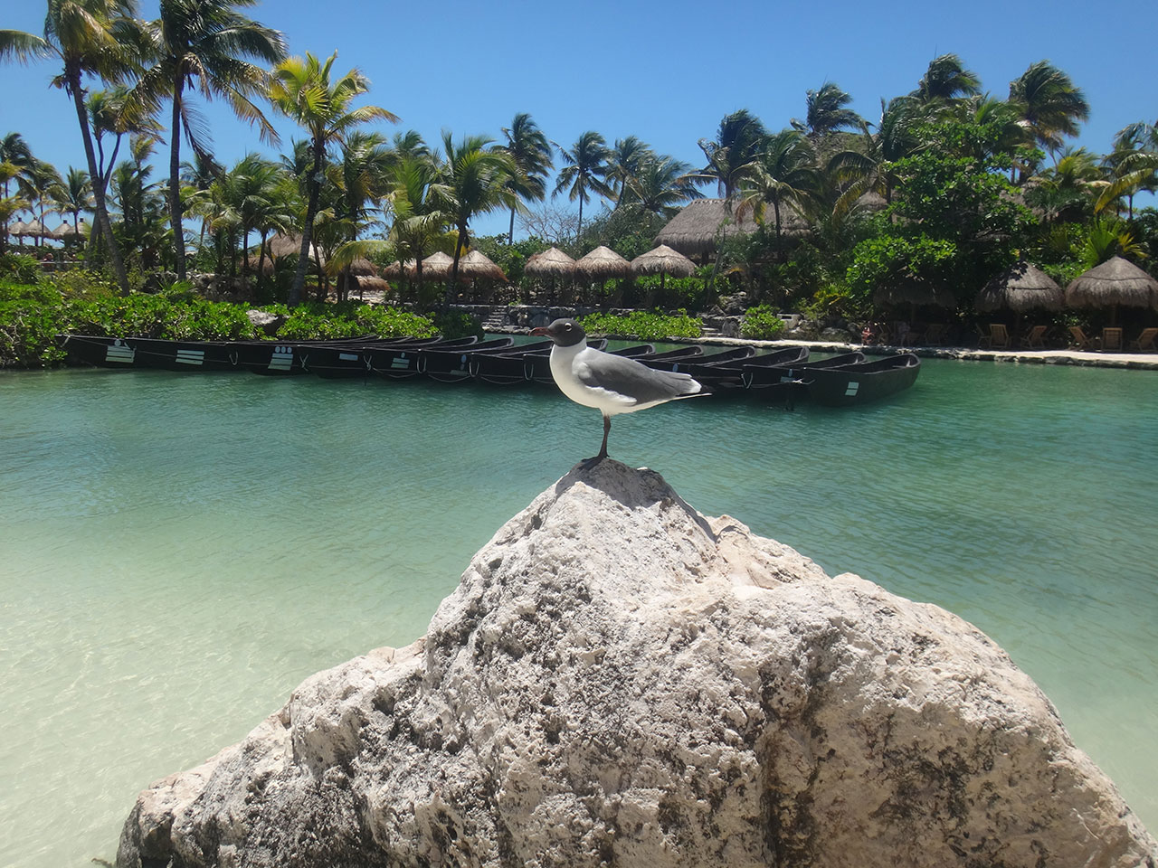 Rota da Praia no Xcaret