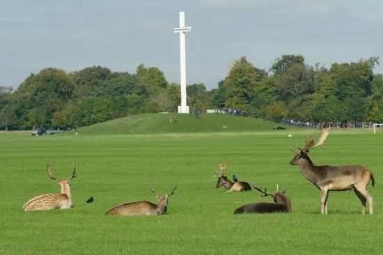 Servos no Phoenix Park - Dublin - Irlanda