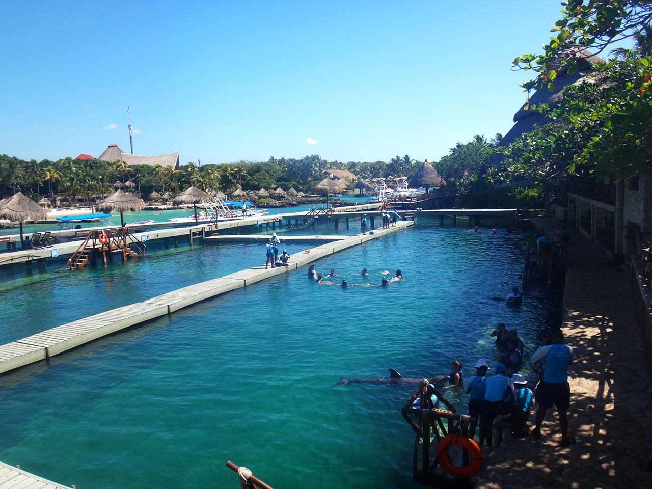 Show dos golfinhos no Xcaret