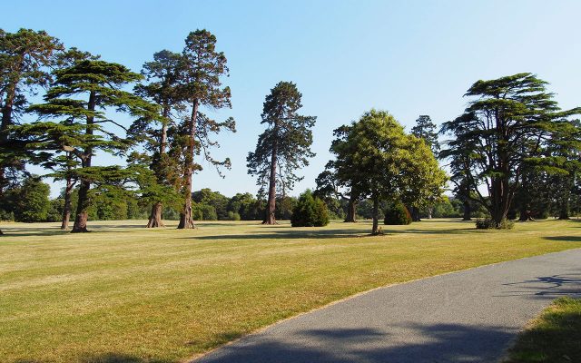 Natureza Santry Park