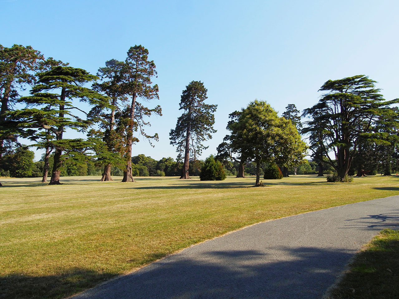 Natureza Santry Park