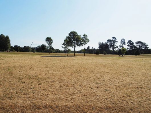 Paisagem - Santry Park