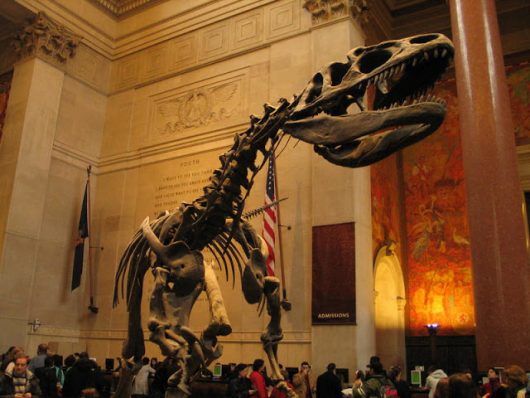 Exposição de dinossauros no Museu Americano de História Natural