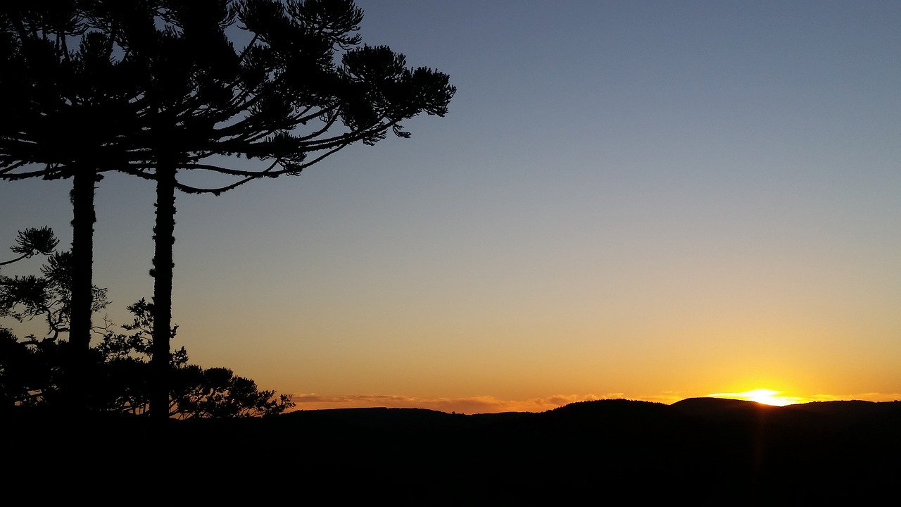 Montanhas - Campos do Jordão - SP