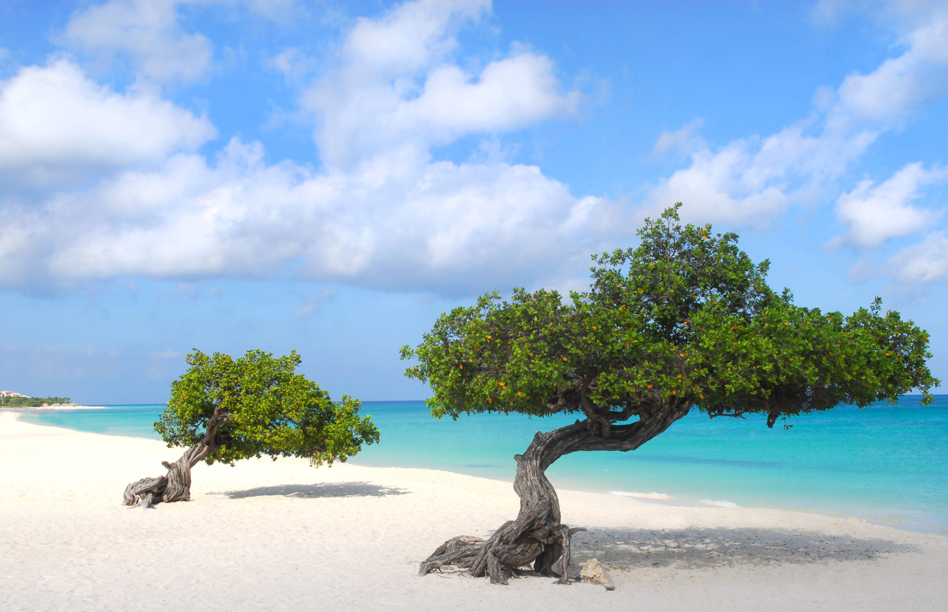 Férias de julho no Caribe 2025 - Aruba