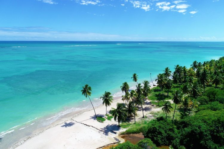 Férias de julho em São Miguel dos Milagres - Alagoas