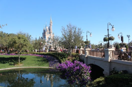 Pacote de viagem Orlando