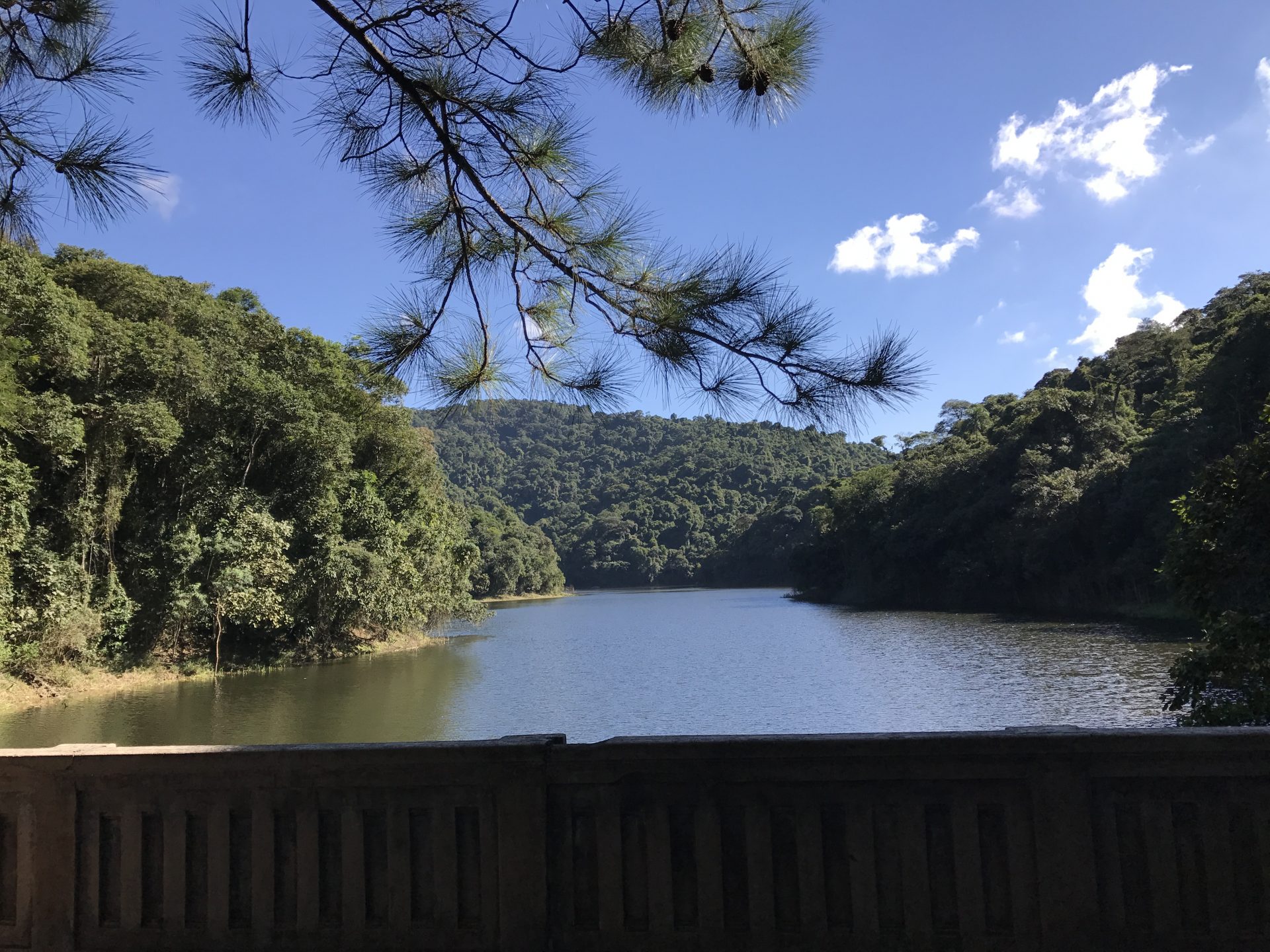 Vista do Parque Estadual Cantareira