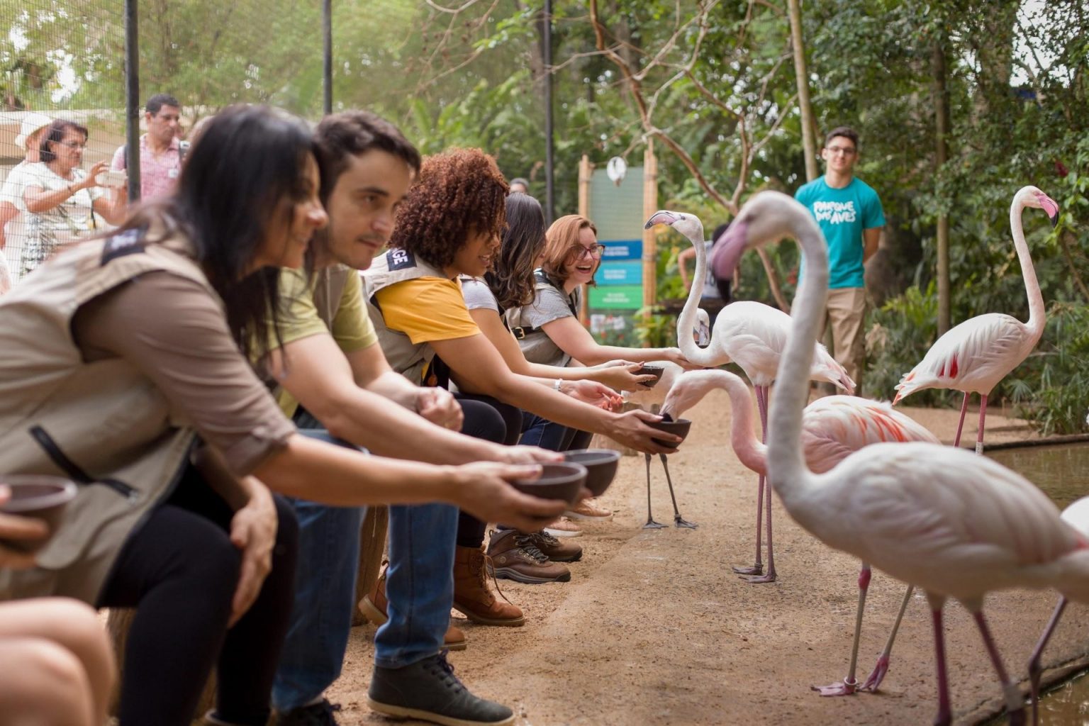 Opções de Passeios no Maior Parque de Aves da América Latina Opções de Passeios no Maior Parque de Aves da América Latina