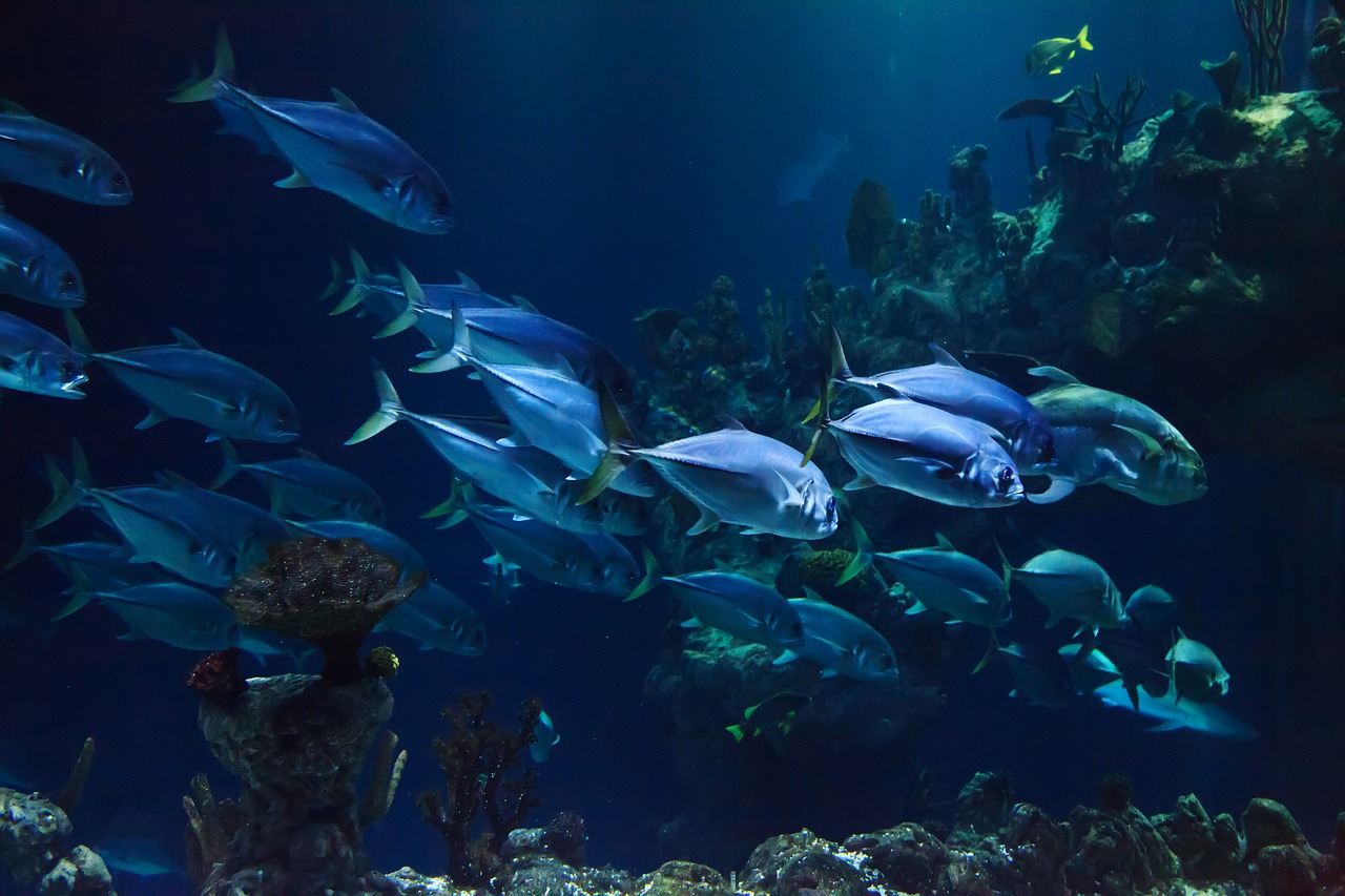 Aquarium de Paris