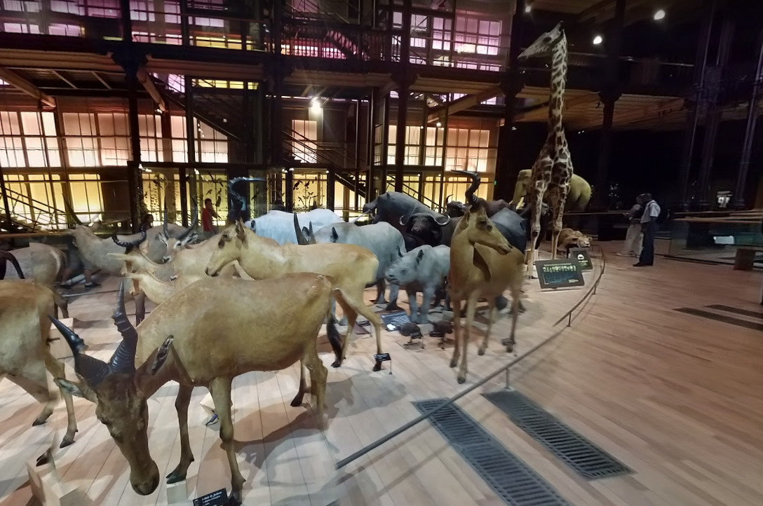 Jardin des Plantes em Paris