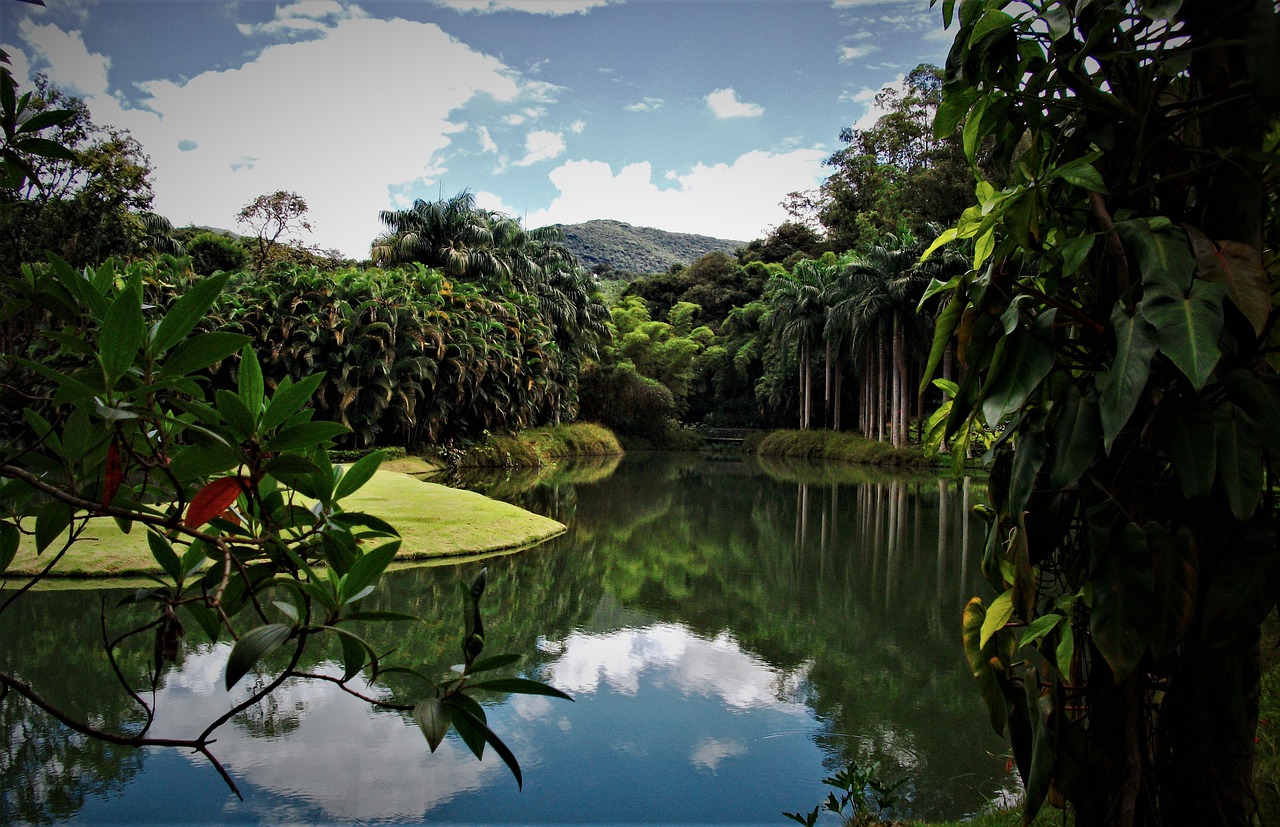 Que tal fazer um passeio de dia das mães no Instituto Inhotim em Brumadinho?