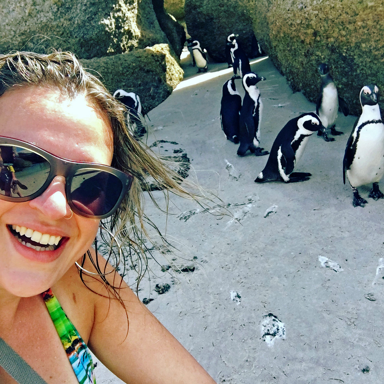 Felicidade imensa de estar com os pinguins na Boulders Beach