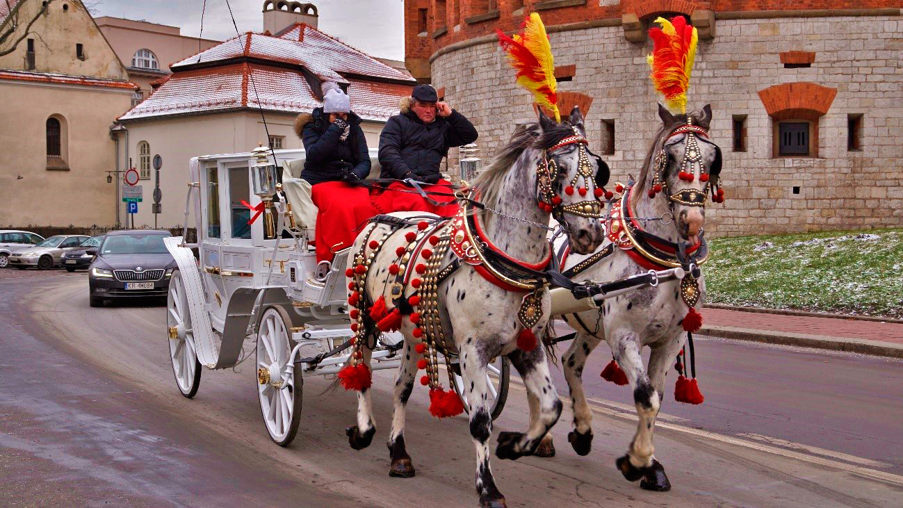 Uma das charretes lindíssimas que vimos e fotografamos circulando pela cidade