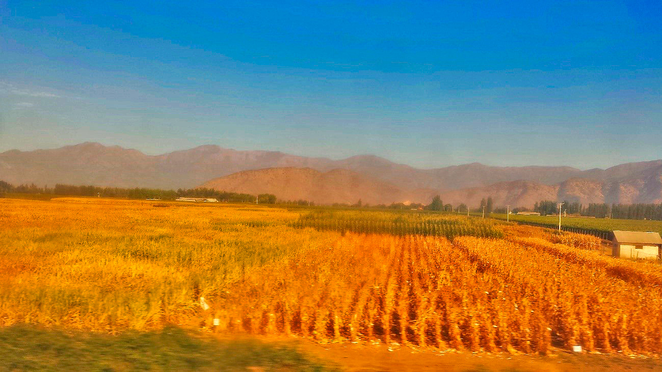 Paisagem do passeio de trem para Chillán