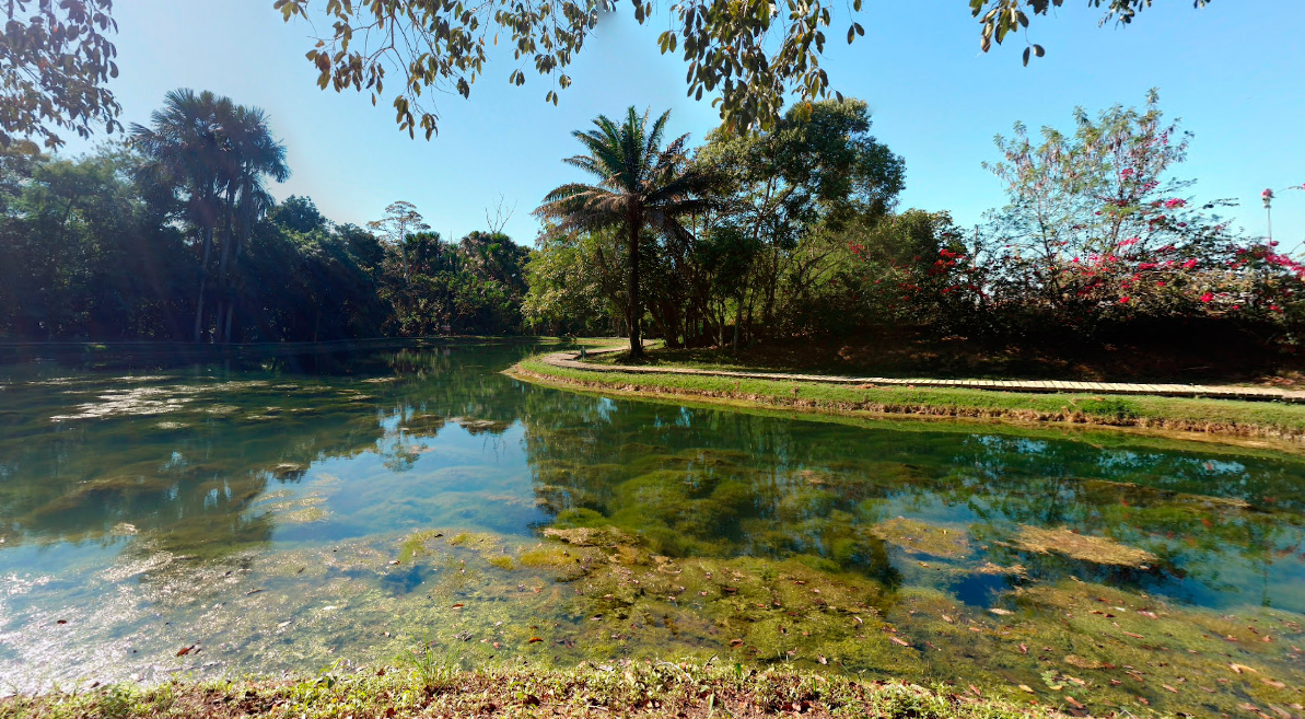 O Parque Botânico de Ariquemes é um dos parques de Rondônia