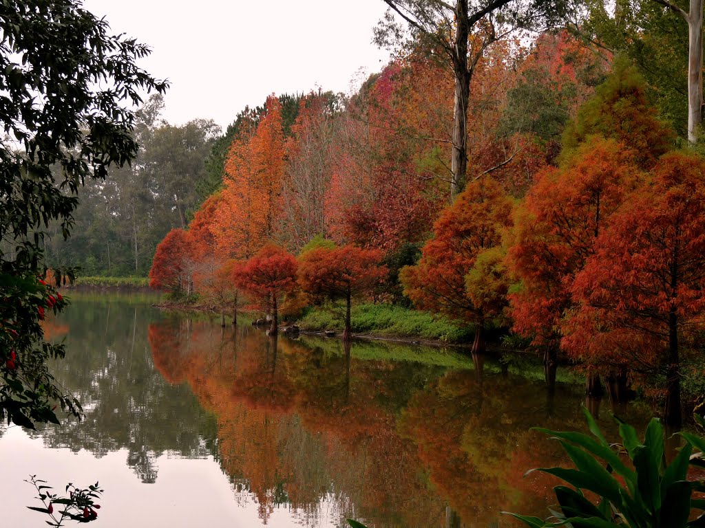 Esse é o Lago Grande Espelho do Céu do Parque Witeck, um dos parques do Rio Grande do Sul