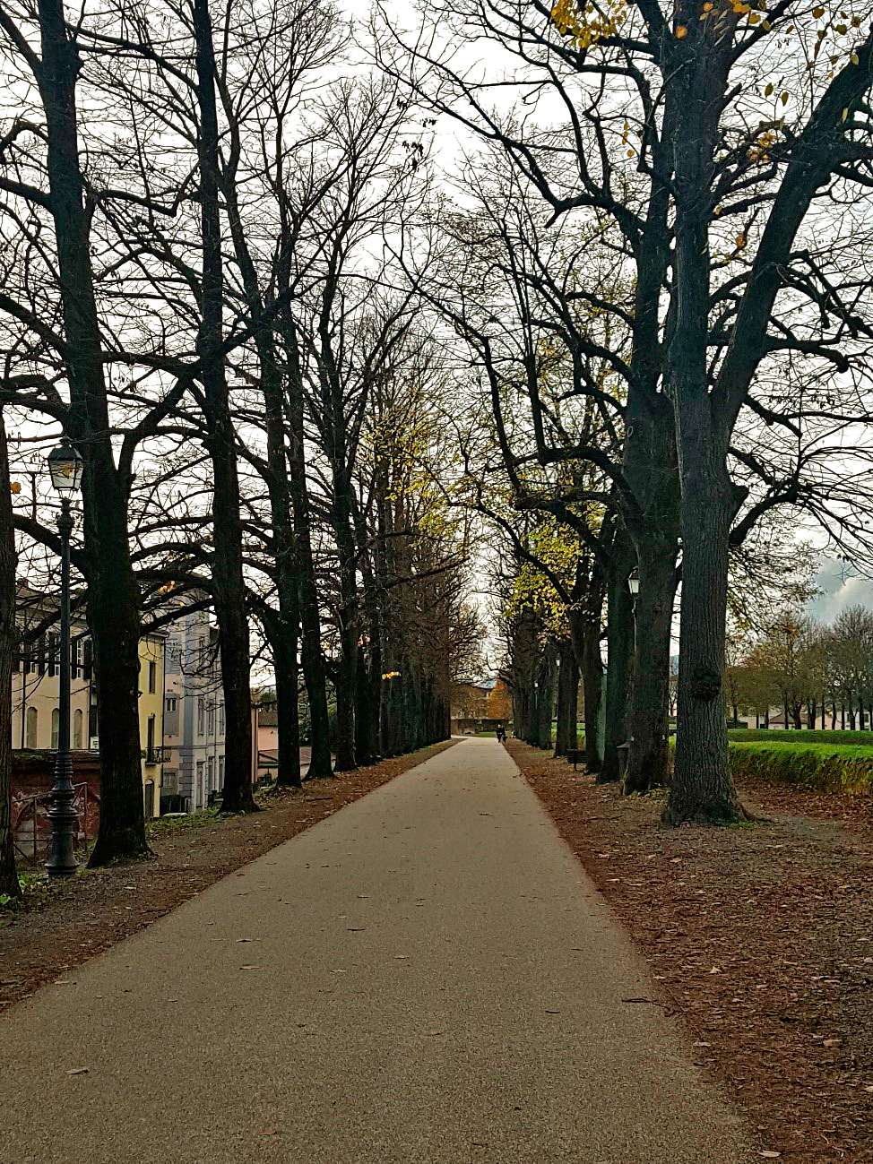 Acima da muralha de Lucca existe um belo corredor arborizado