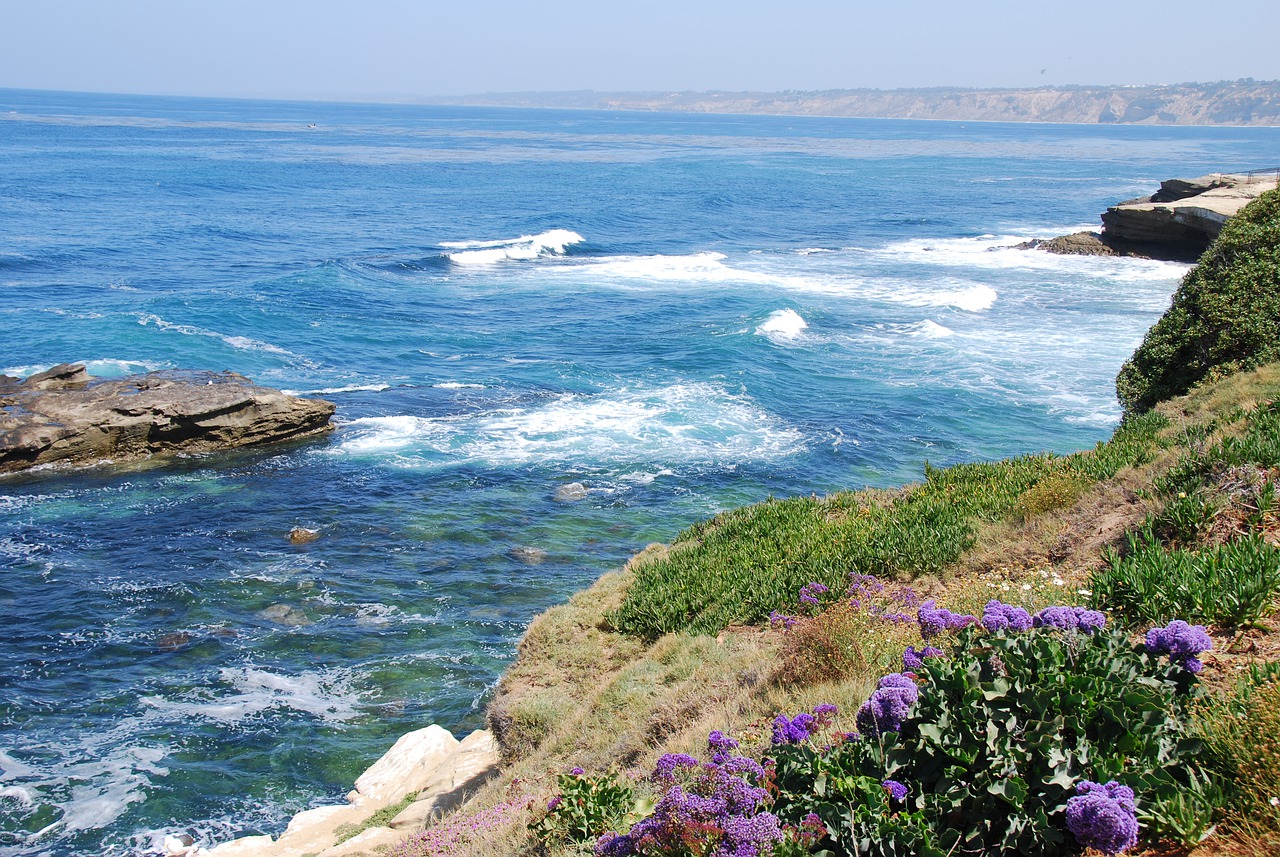 La Jolla é uma das lindas paisagens do litoral de San Diego