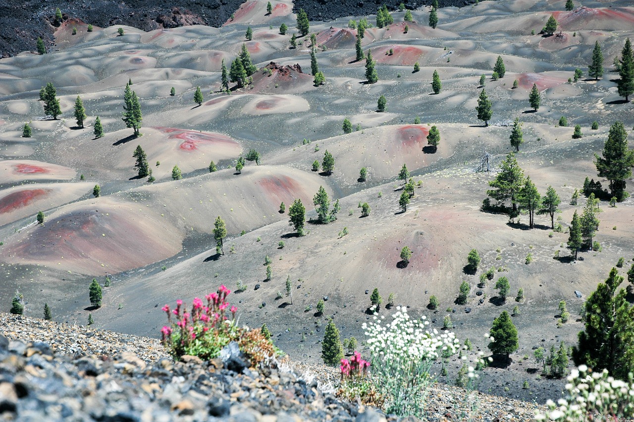 As belezas das pedras de lavas do Lassen National Park