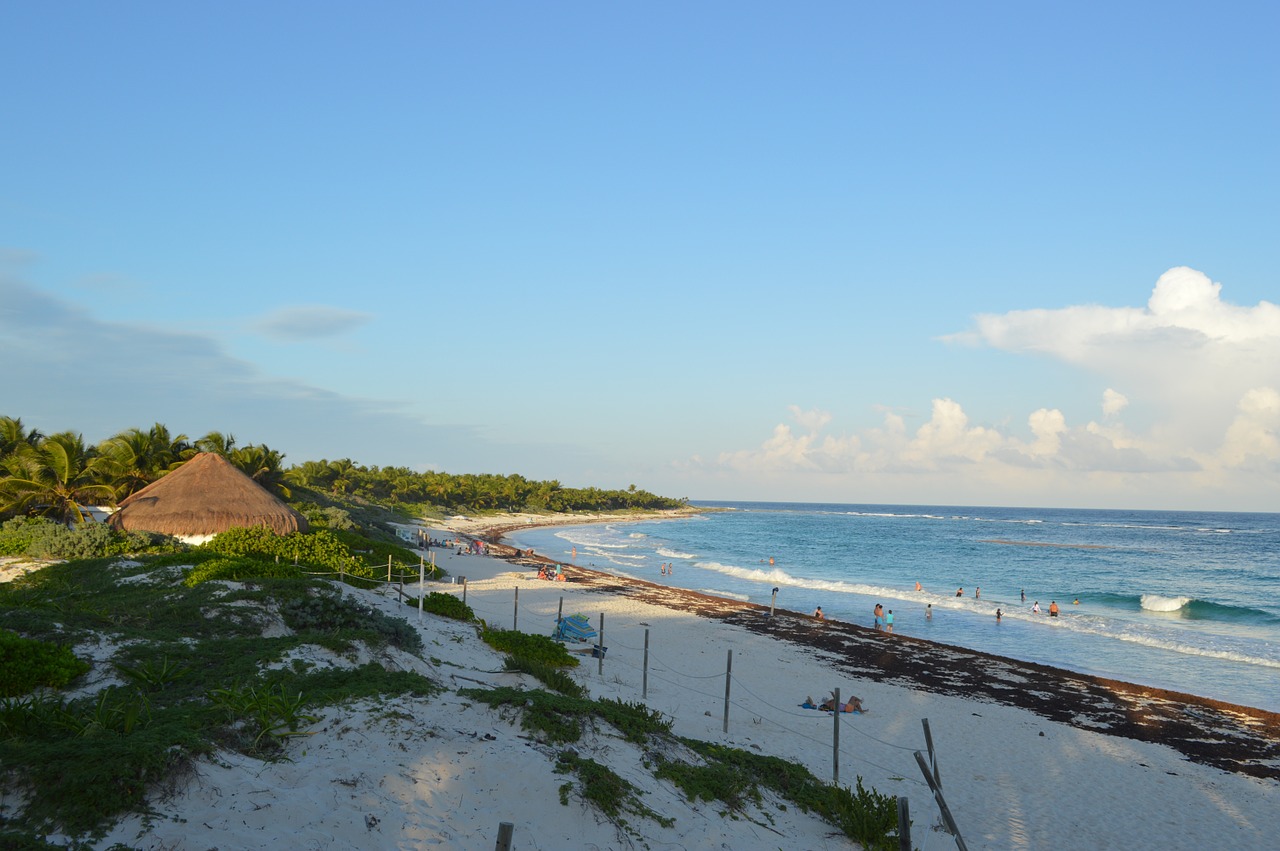 Em algumas praias de Tulum você vai encontrar muito sargaço (essa alga na beira da praia)