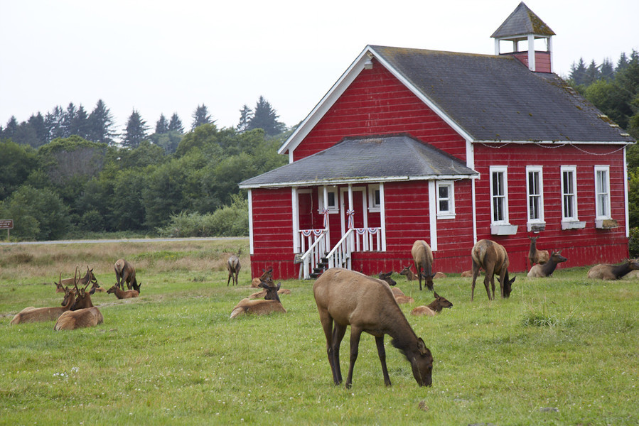 O Elk Country Inn é uma das opções de hospedagem