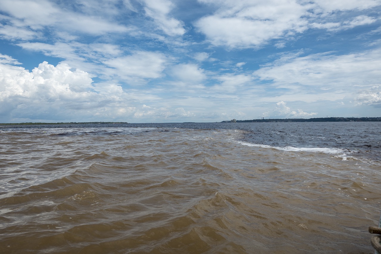 Esse é o encontro das águas do Rio Negro e Solimões