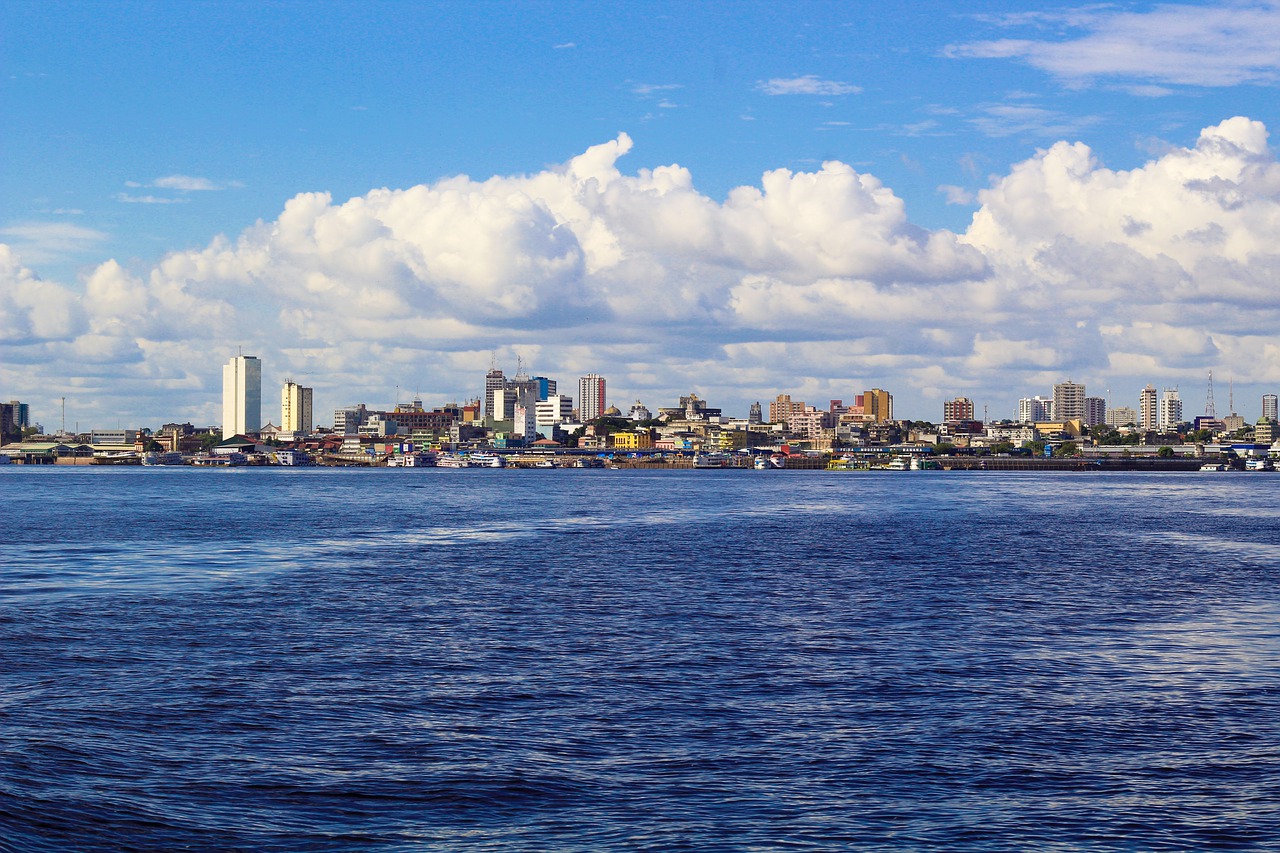 Vista de longe da cidade de Manaus