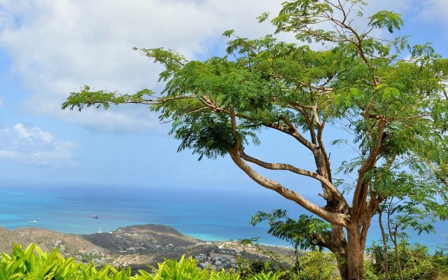 O que fazer em Saint Martin?