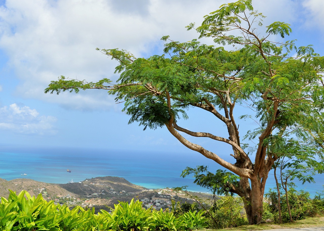 Linda vista sobre o que fazer em Saint Martin