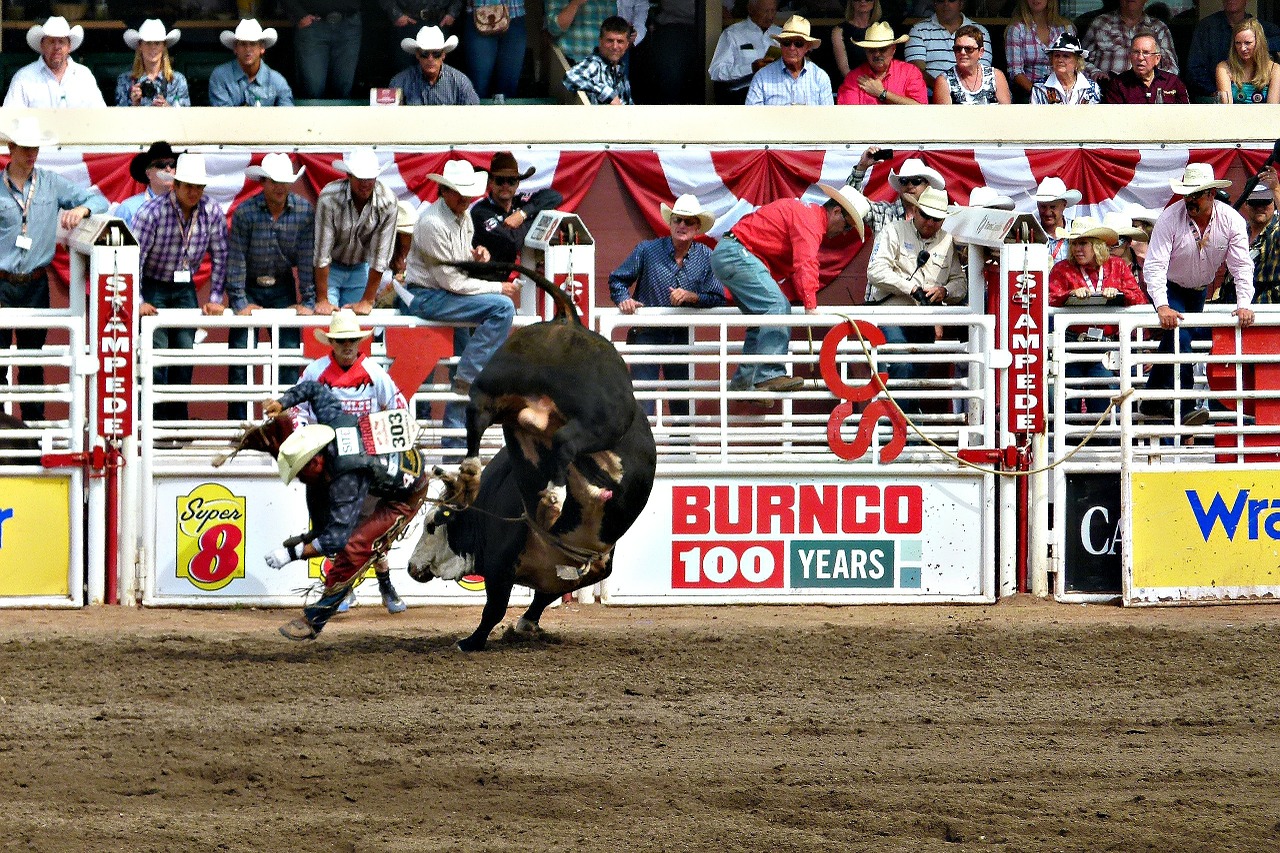 O The Calgary Stampede é um dos festivais do Canadá realizado em Calgary