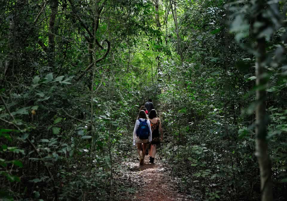 Caminho da trilha da Lagoa Misteriosa