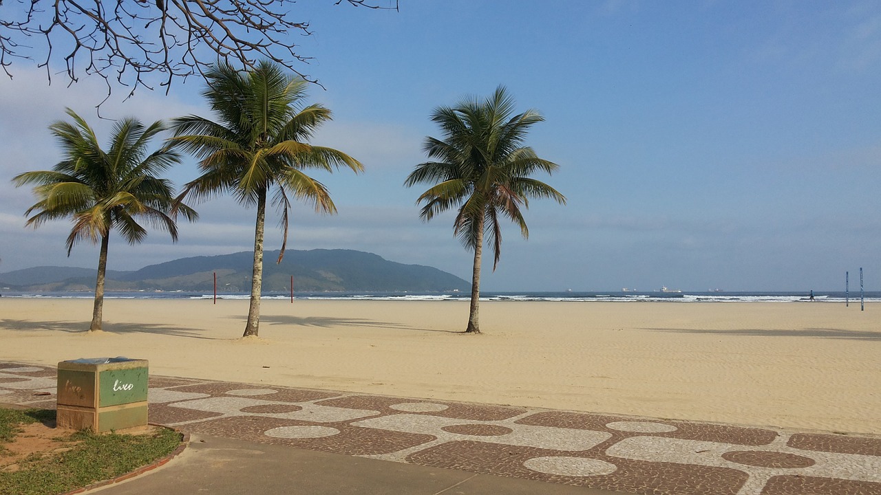 Em Santos você encontra praias com coqueiros